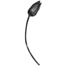 Tulipan kuty H275 x L105 mm
