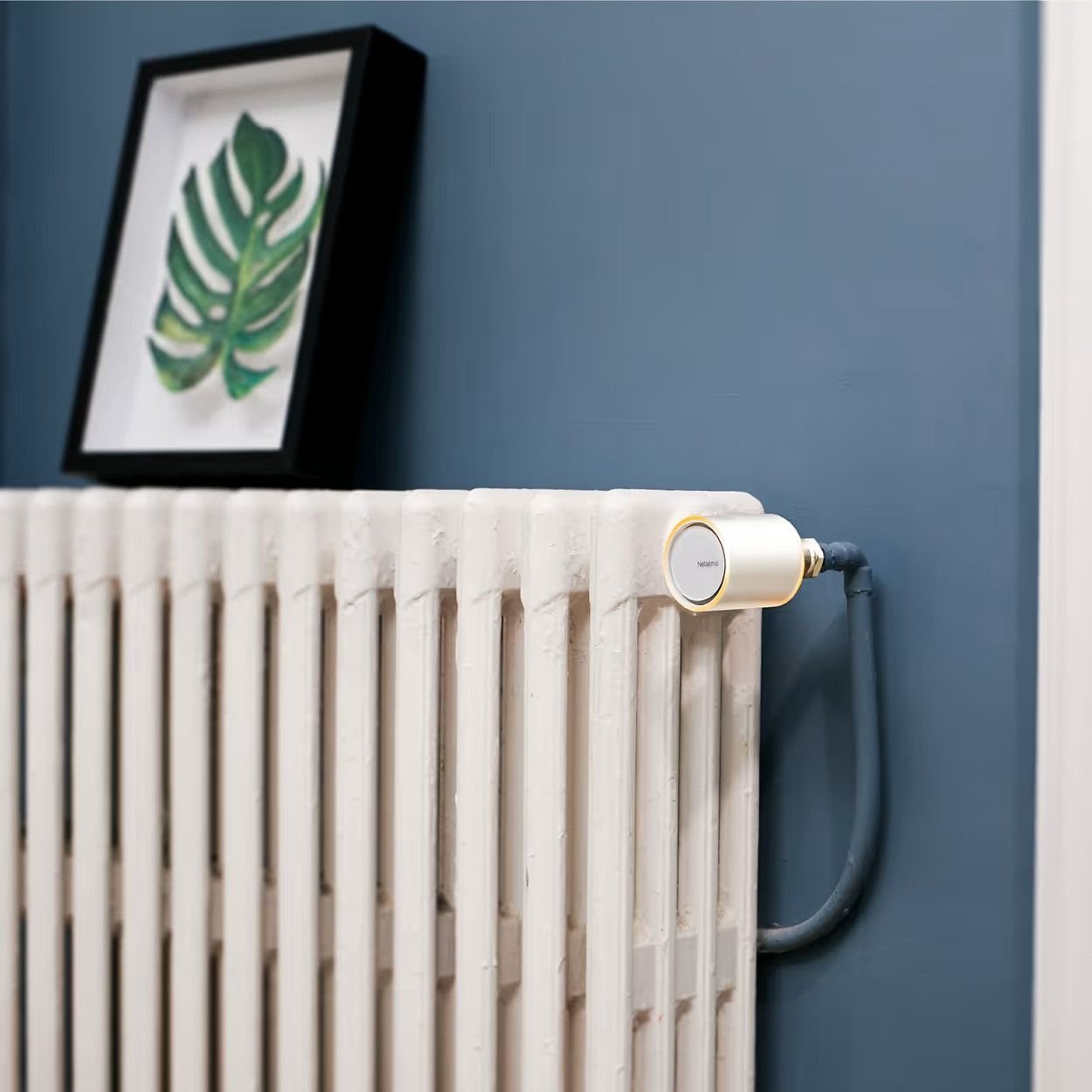 Pakiet Starter Pack: 2 x inteligentne głowice termostatyczne Netatmo NVP + przekaźnik + zestaw 3 głowic termostatycznych Netatmo NBU-NAV Pakiet Starter Pack: 2 x inteligentne głowice termostatyczne Netatmo NVP + przekaźnik + zestaw 3 głowic termostatycznych Netatmo NBU-NAV