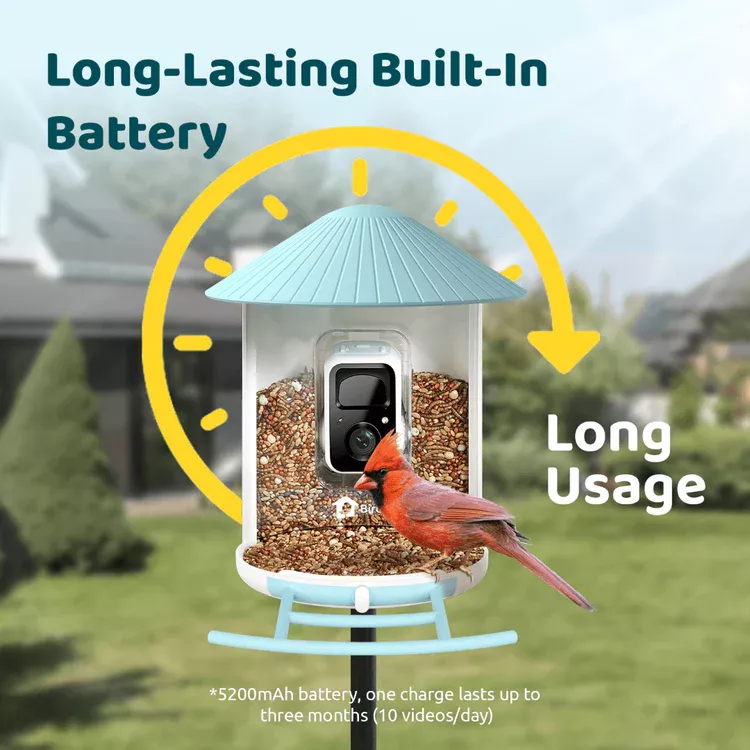 Birdfy Feeder AI - karmnik dla ptaków z kamerą i AI z rozpoznawaniem gatunków
