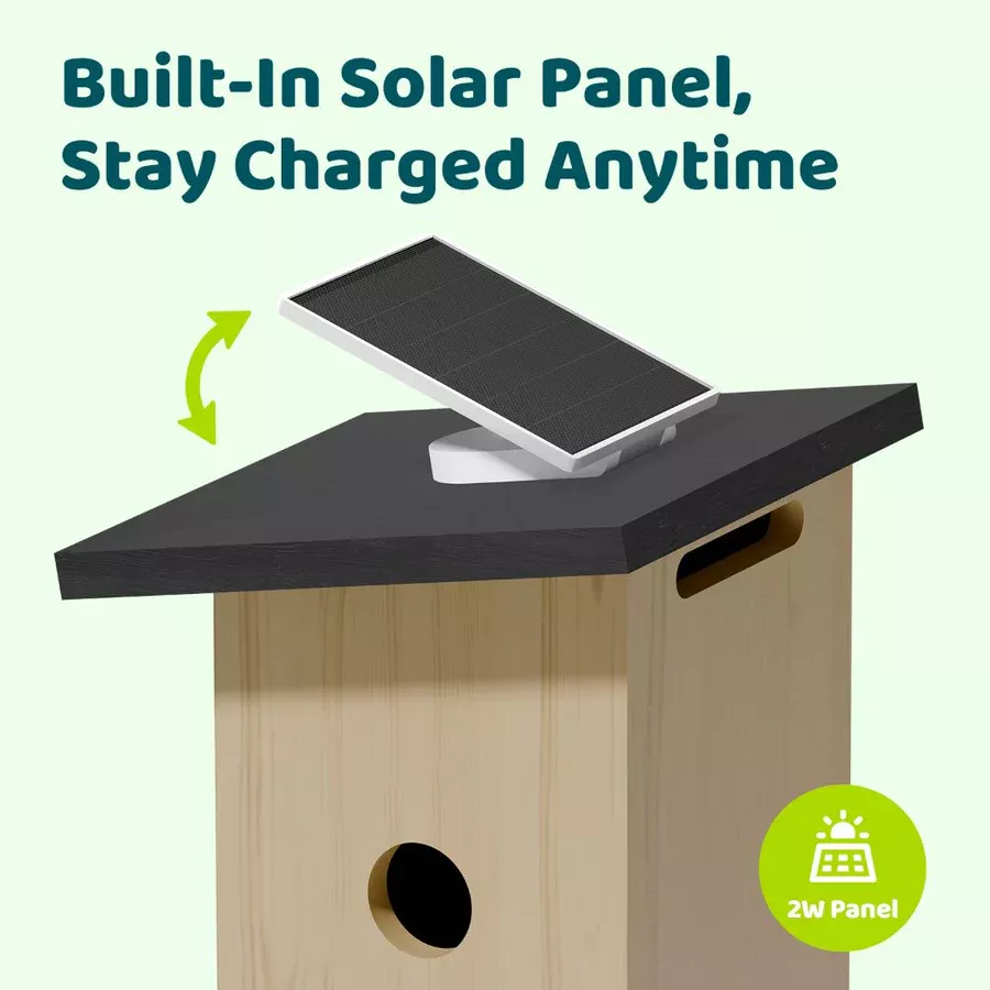 Birdfy House Ebony - budka lęgowa dla ptaków z kamerą