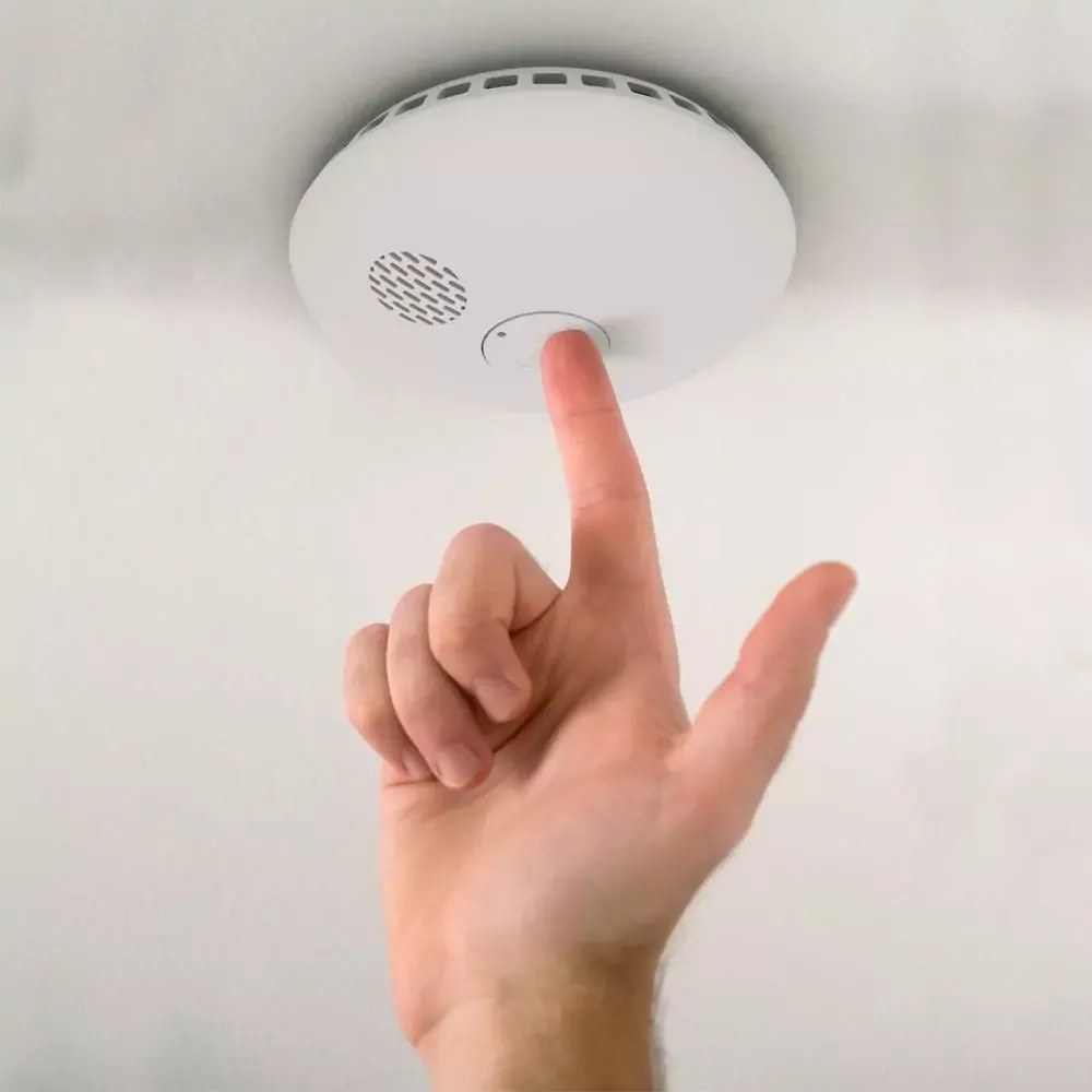 Czujnik Dymu Somfy Protect